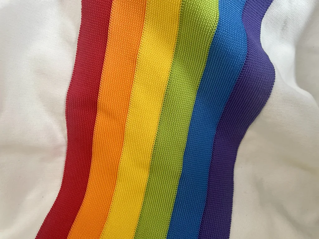 If being gay was a choice